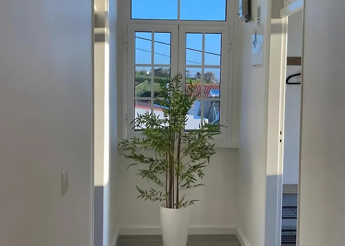 Casa Pereira * Ponta do Pargo